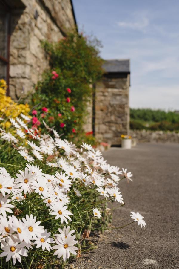 Creevy Cottages Rossnowlagh Exteriér fotografie