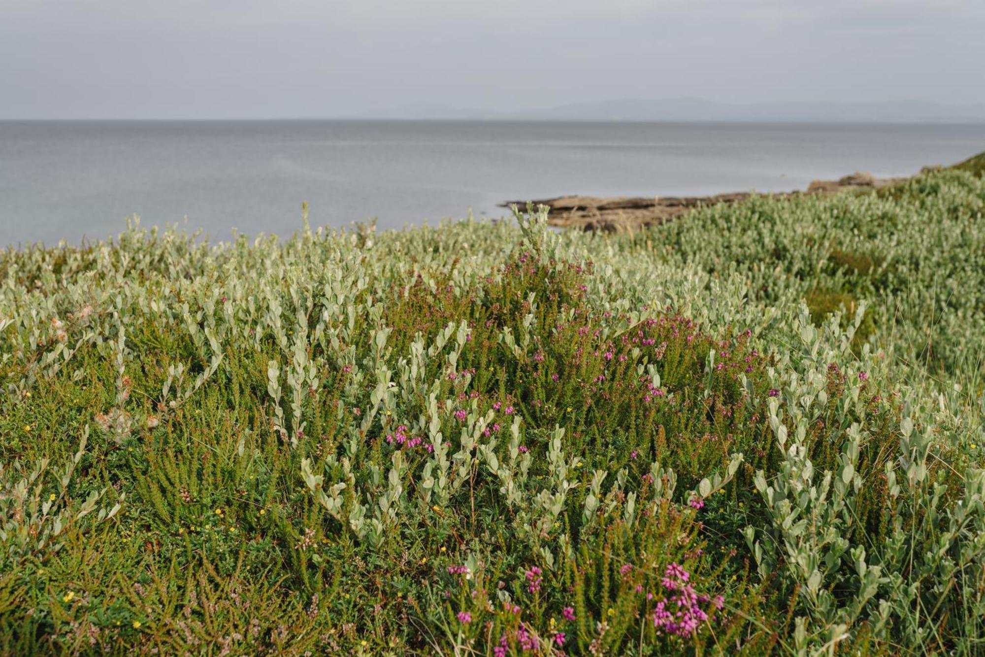 Creevy Cottages Rossnowlagh Exteriér fotografie