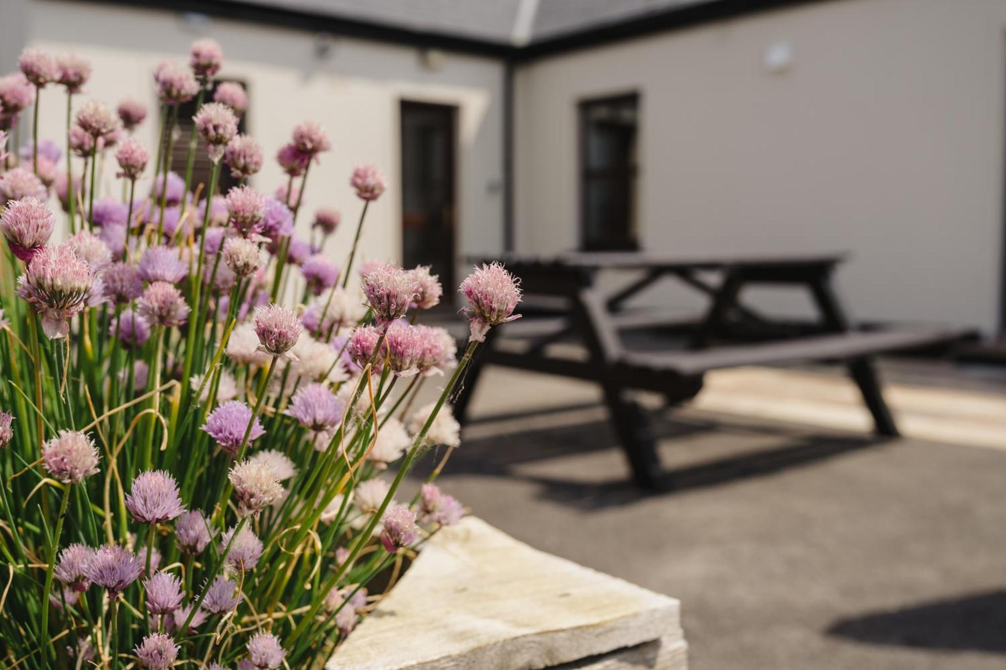 Creevy Cottages Rossnowlagh Exteriér fotografie